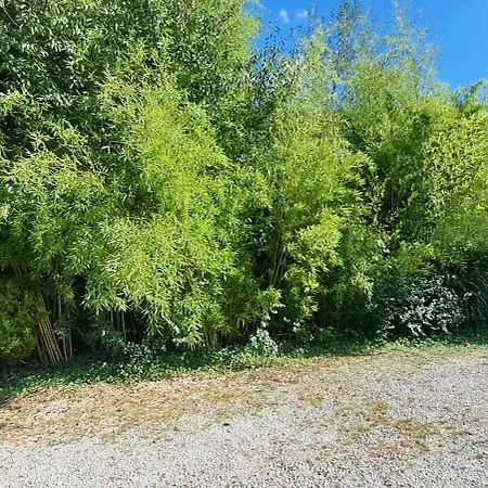 Charmante Petite Maison Holiday home Torcenay